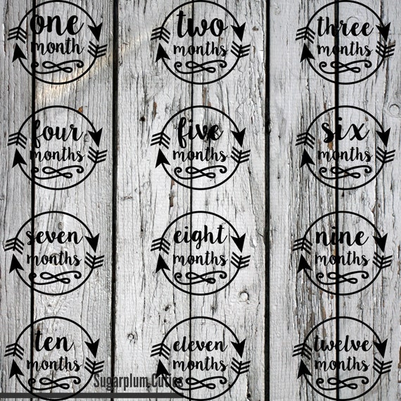 Download Items similar to SVG, PNG, Monthly Milestone BUNDLE ...
