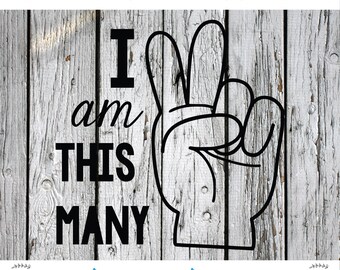 SVG, PNG, Studio3 Cut File, I am This Many Two, Silhouette Cut File, Cricut Cut File, Birthday, 2md Birthday svg, Second Birthday svg