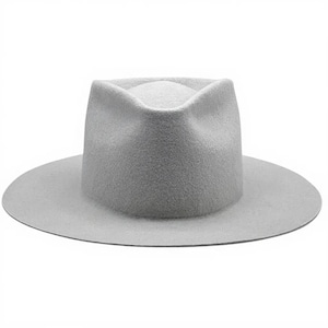 Puede incluir: Un sombrero fedora gris claro con ala ancha. El sombrero tiene una copa estructurada y un ala plana y circular. El sombrero está hecho de un material suave similar al fieltro. El sombrero es de color neutro.