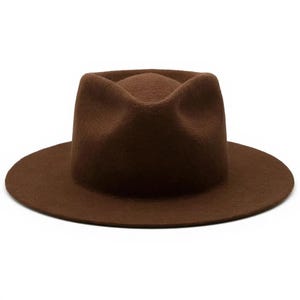 May include: A brown fedora hat with a wide brim. The hat has a structured crown and a classic, timeless design. The hat is made of a soft material and is suitable for various occasions.