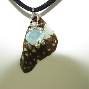 May include: A necklace with a black cord and a pendant featuring a light blue crystal and a brown butterfly wing.