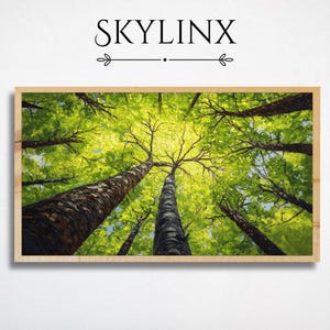May include: A framed art print featuring a low-angle view of tall trees with green foliage, reaching towards the sky. The artwork has a natural wood frame and the word "SKYLINX" is displayed at the top.