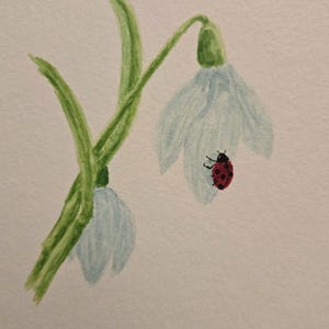 Coccinella su fiore dipinto ad acquerello