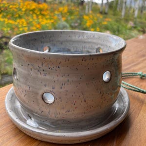 May include: A light grey ceramic planter with a speckled finish featuring small blue, red and yellow dots. The cylindrical pot has a series of circular drainage holes around the sides and sits on a matching circular ceramic saucer base.