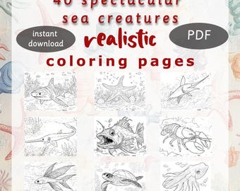 Libro para colorear del mar para niños. 40 páginas para colorear de diferentes criaturas marinas: ballenas, tiburones, delfines y peces. PDF listo para imprimir.