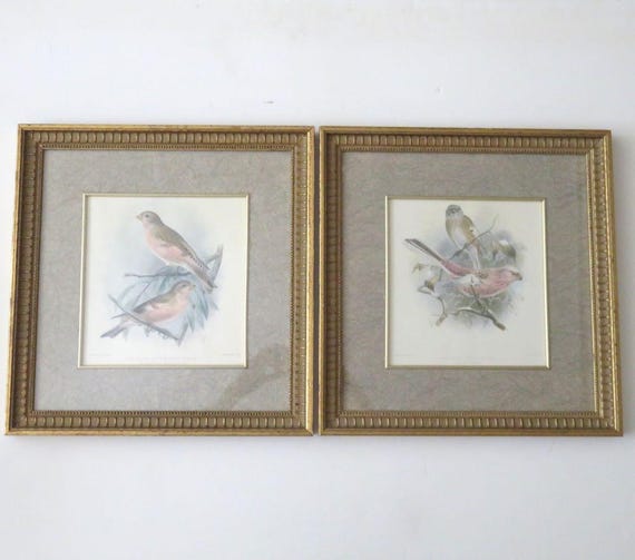 SET of 2 BIRD Prints,framed Vintage Finch Prints by J G