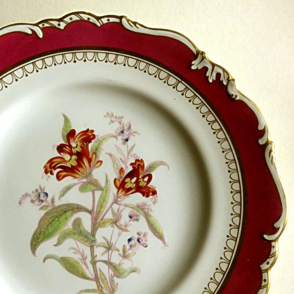 ANTIQUE ENGLISH PLATE 1800's Dieu et Mon Droit,gilt Edge, 9" cabinet plate,Lillies,vg condition,Ridgeway Imperial,hand painted flowers,gold