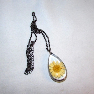 May include: A teardrop-shaped pendant necklace with a yellow daisy encased in clear resin. The pendant is suspended from a dark chain. The daisy has a yellow center and pale yellow petals. The necklace is displayed on a white background.