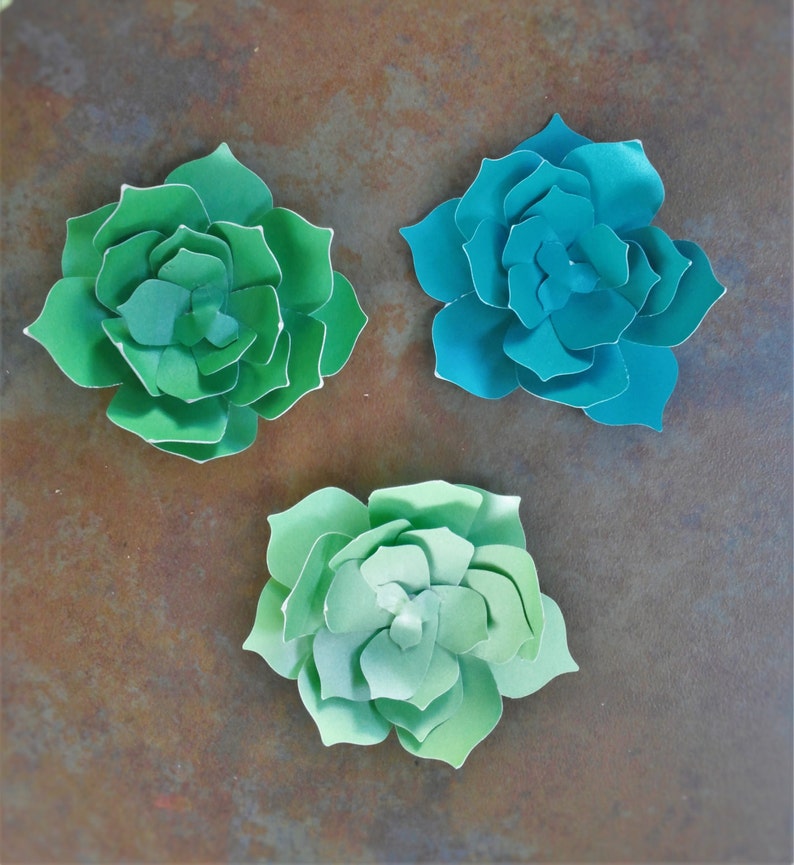 Paper succulents set of 5 image 2