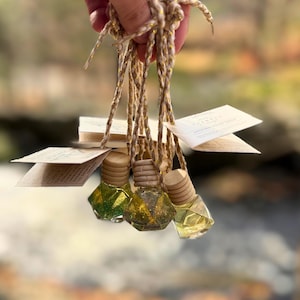 May include: A collection of small, clear glass bottles with wooden caps, filled with colorful liquid and suspended by twine. Each bottle has a small tag attached. The bottles are held up against a blurred outdoor background.