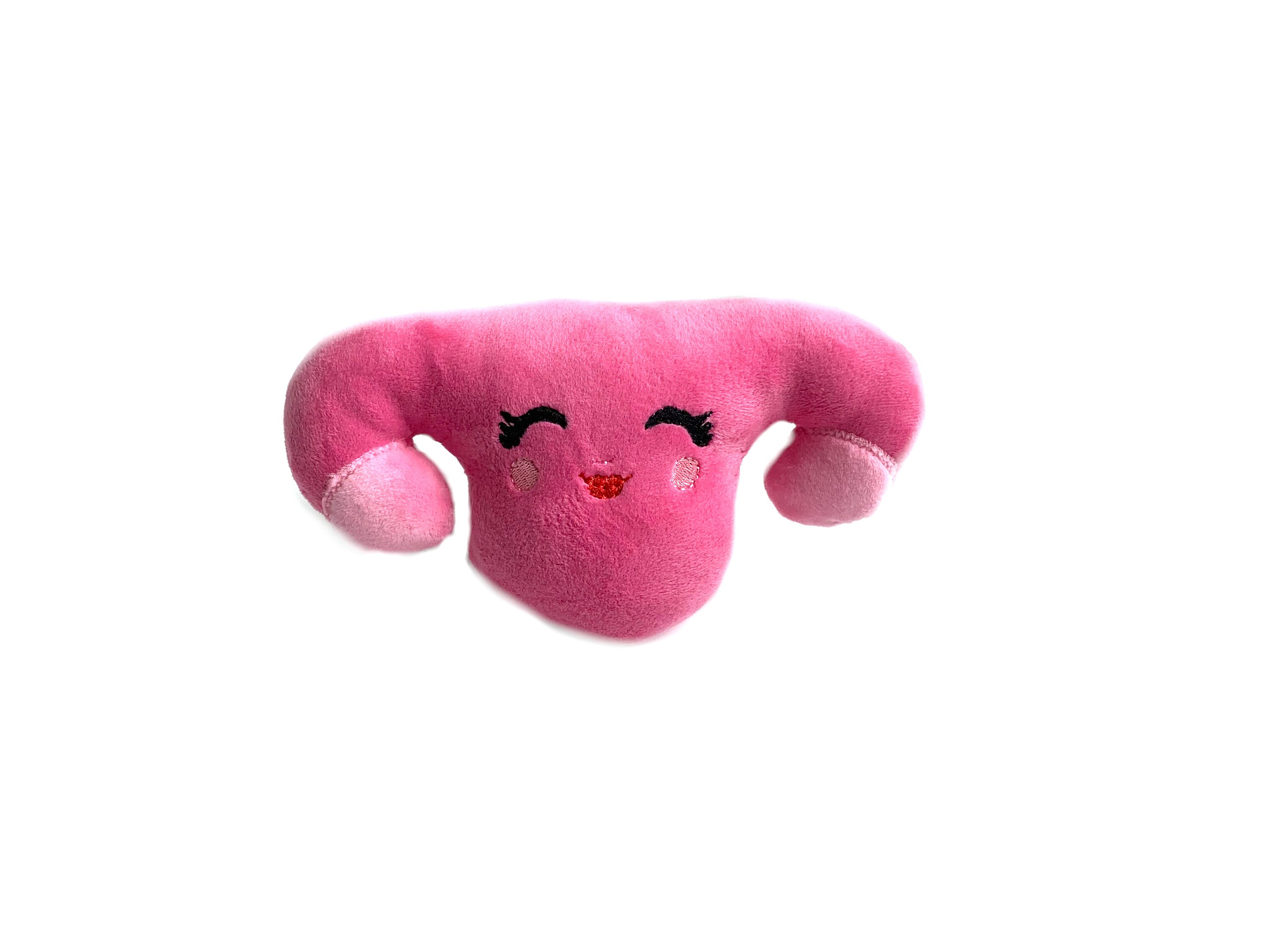 Plush Uterus Plush Womb Stuffed Uterus Plush Kawaii Womb Pillow Doula Gift Midwife OBGYN Uterus Womb Girl Power Pillow Etsy Canada