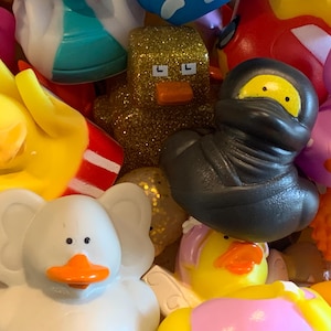 May include: A collection of colorful rubber duck toys, including a yellow duck with a popcorn container, a white duck with elephant ears, a black duck with a ninja mask, a purple duck with a crown, and a gold duck with glitter.