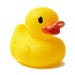 You Quack Me Up