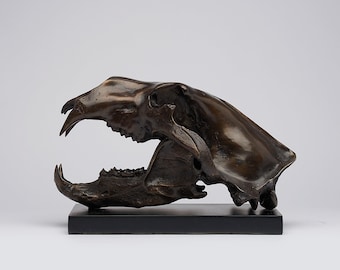 Polar Bear Skull - Brown Bronze Wildlife Sculpture