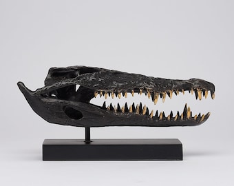 Bronze Crocodile Skull with Golden Teeth - Polished Accents Medium Saltwater Design (37cm)