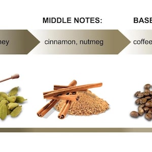 May include: A diagram showing the different notes of a fragrance. The top notes are cardamom and honey, the middle notes are cinnamon and nutmeg, and the base notes are coffee.