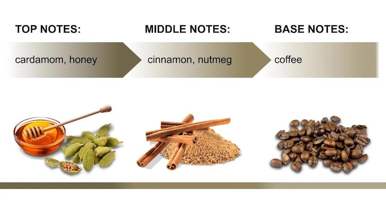 May include: A diagram showing the different notes of a fragrance. The top notes are cardamom and honey, the middle notes are cinnamon and nutmeg, and the base notes are coffee.