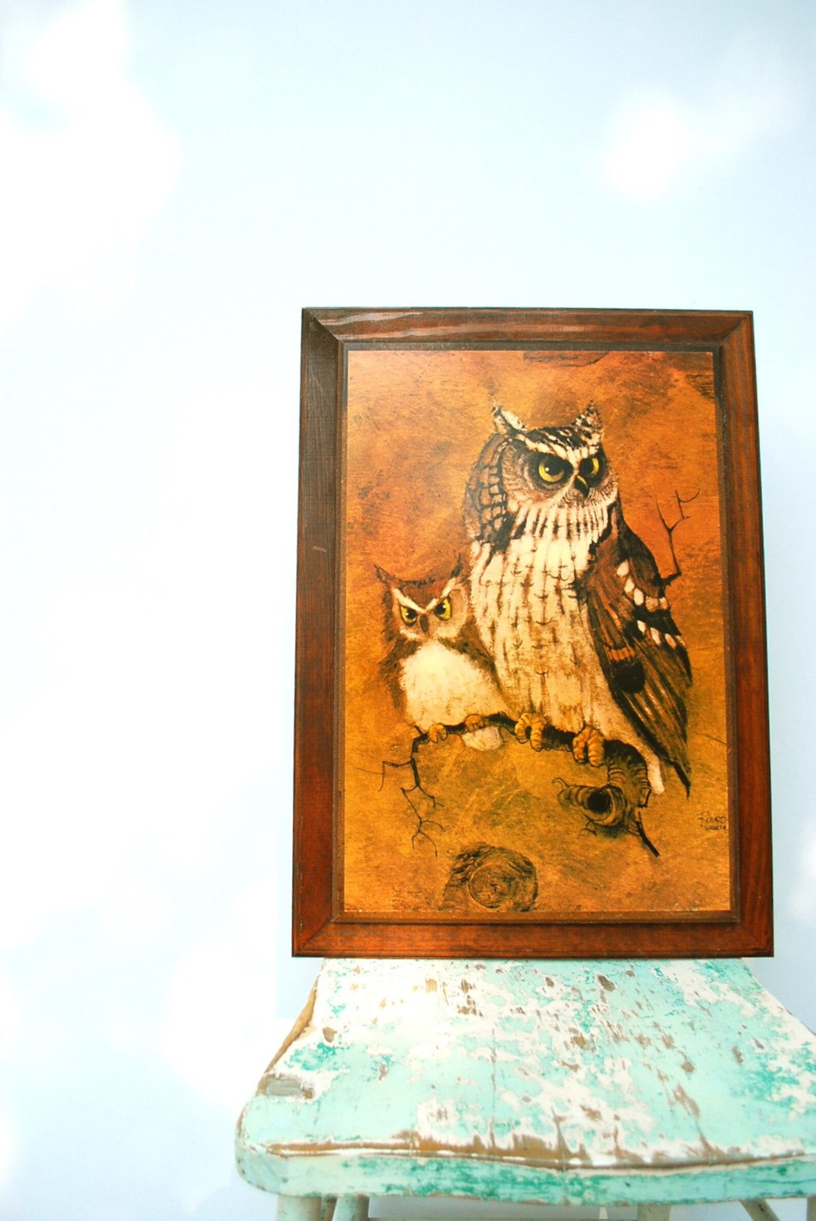 Vintage Owl Wall Art Etsy