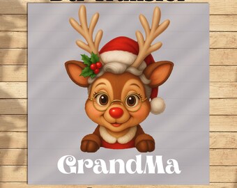custom Reindeer Family Christmas DTF Transfer, ready to press, Custom family name Christmas gift, Cute Christmas sublimation, iron on heattr