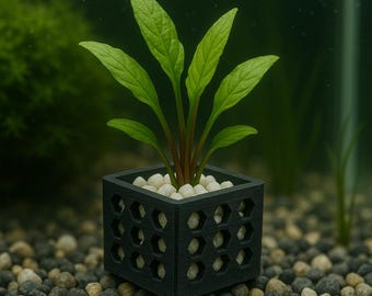 Aquatic Pots STL Datei-Bundle für den 3D-Druck - 9 Größen - Keine Stützen erforderlich - Aquarium Safe PETG Planters