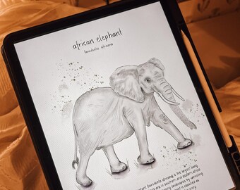 african elephant poster, digital download