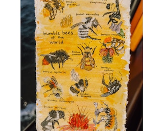 bumblebees of the world postcard, digital download