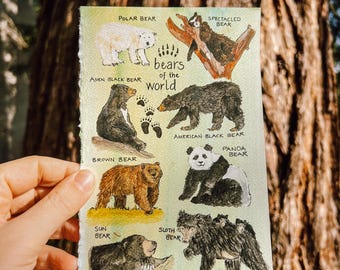 bears of the world postcard