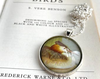 Silver Plated Bird Pendant with Vintage Nature lllustration, Birdwatcher Necklace