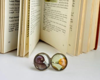 Nature Cufflinks with Vintage Duck Illustrations, Birdwatcher Gift for Him