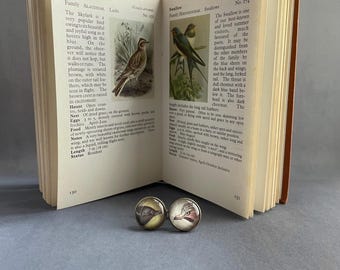 Bronze Cufflinks, BirdWatcher Gift, Corvids, Jay and Magpie