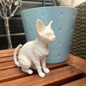 Könnte beinhalten: Weiße Keramikfigur eines sitzenden Katers auf einer Holzoberfläche. Die Katze hat ein kurzes, lockiges Fell und schaut nach rechts.