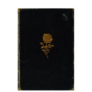 A Wanderer in London by E. V Lucas, Illustrated by Nelson Dawson, 1910 Antique Travel Book