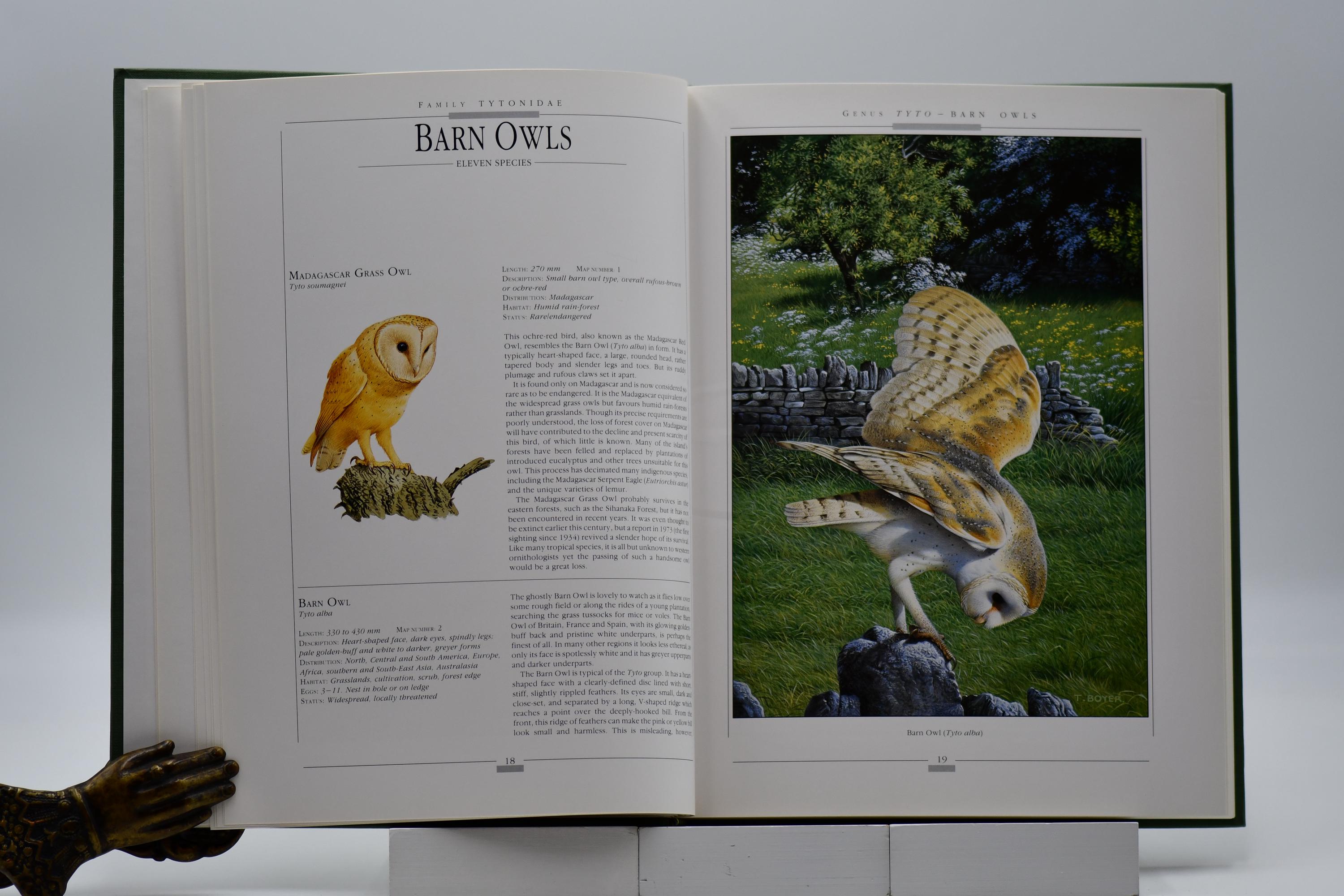 Owls of the World Book: Vintage 1991 First Edition, Illustrated - Etsy