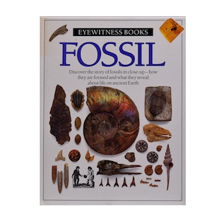 Libro de testigos oculares &quot;Fósil&quot; de Paul D. Taylor, Ph.D., edición de 1990