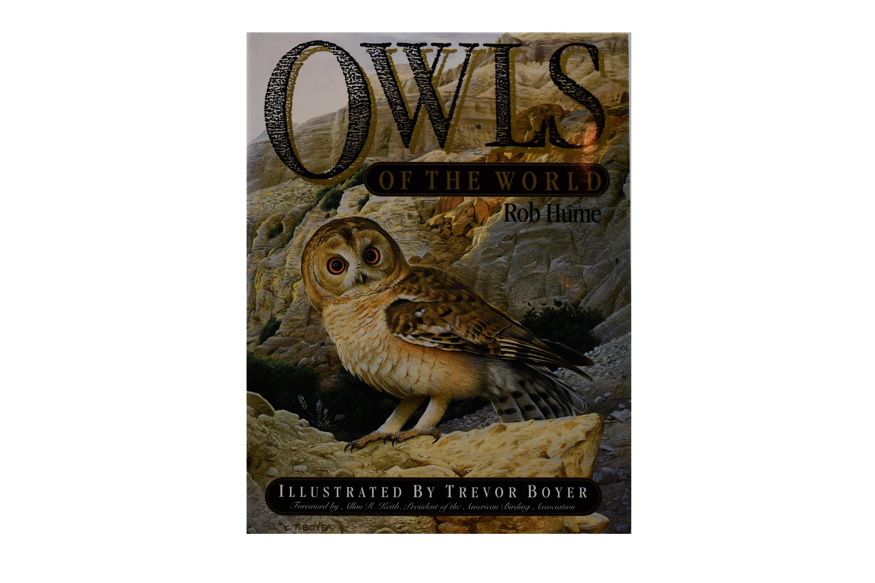 Owls of the World - Rob Hume世界のフクロウ図鑑　洋書 Owls of the World Book: Vintage 1991 First Edition, Illustrated - Etsy