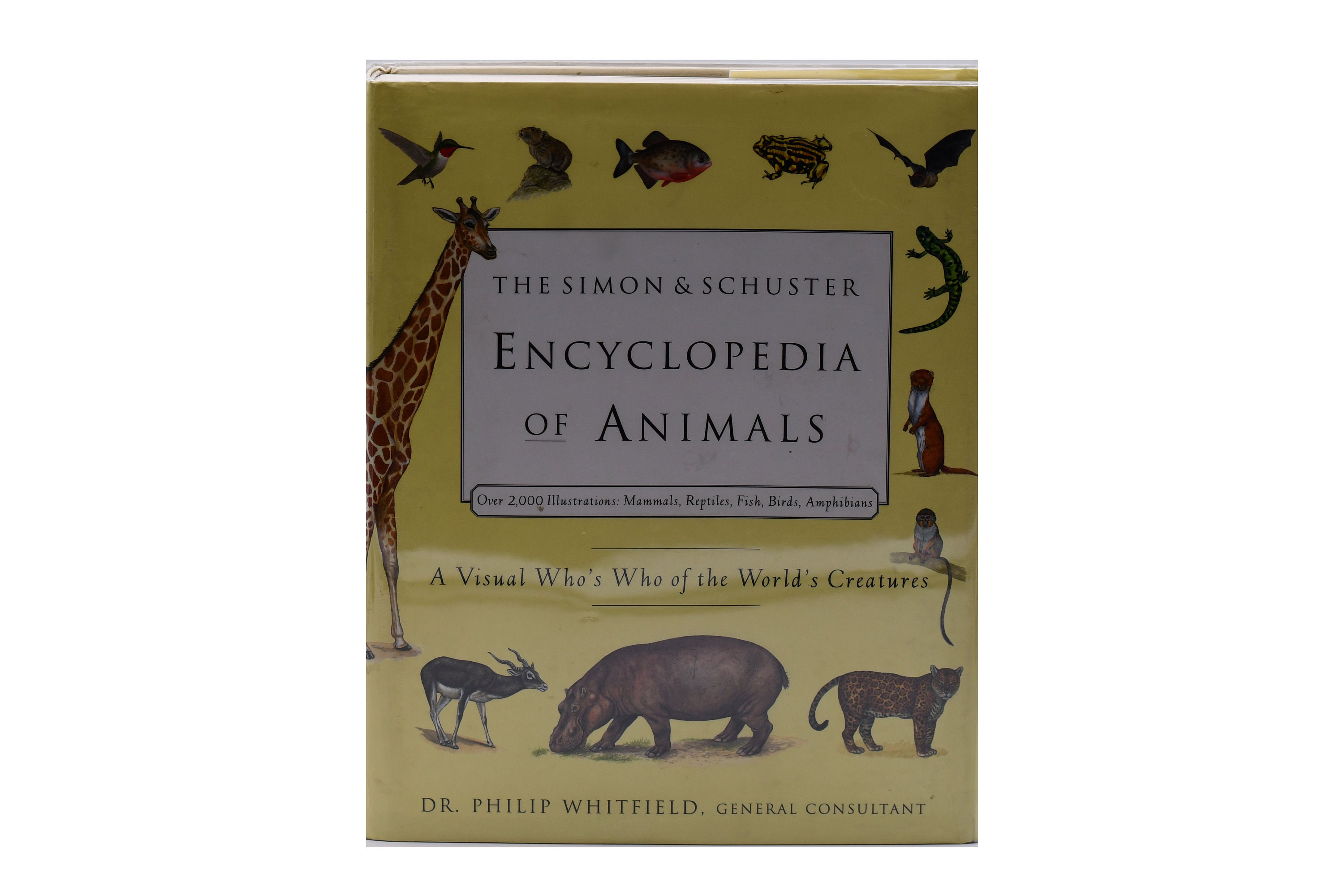 その他 The Complete Encyclopedia Of Wild Animals: Informative Text with Hundreds of Photographs The Encyclopedia of Animals: More than 1,000 Illustrations