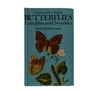 Butterflies Caterpillars and Chrysalides – A Color Guide to the Familiar by Josef Moucha, Illustrator Bohumil Vančura, 1974 Vintage Book