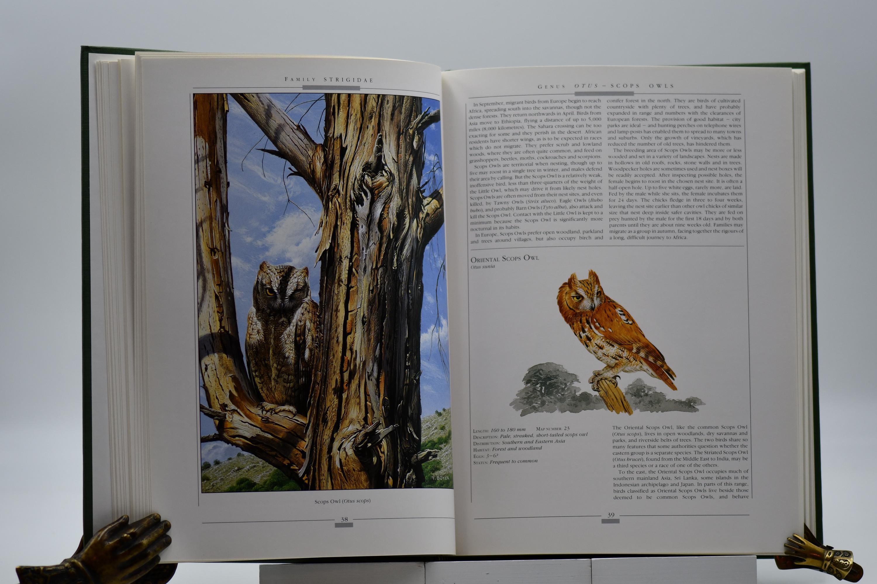 Owls of the World Book: Vintage 1991 First Edition, Illustrated - Etsy