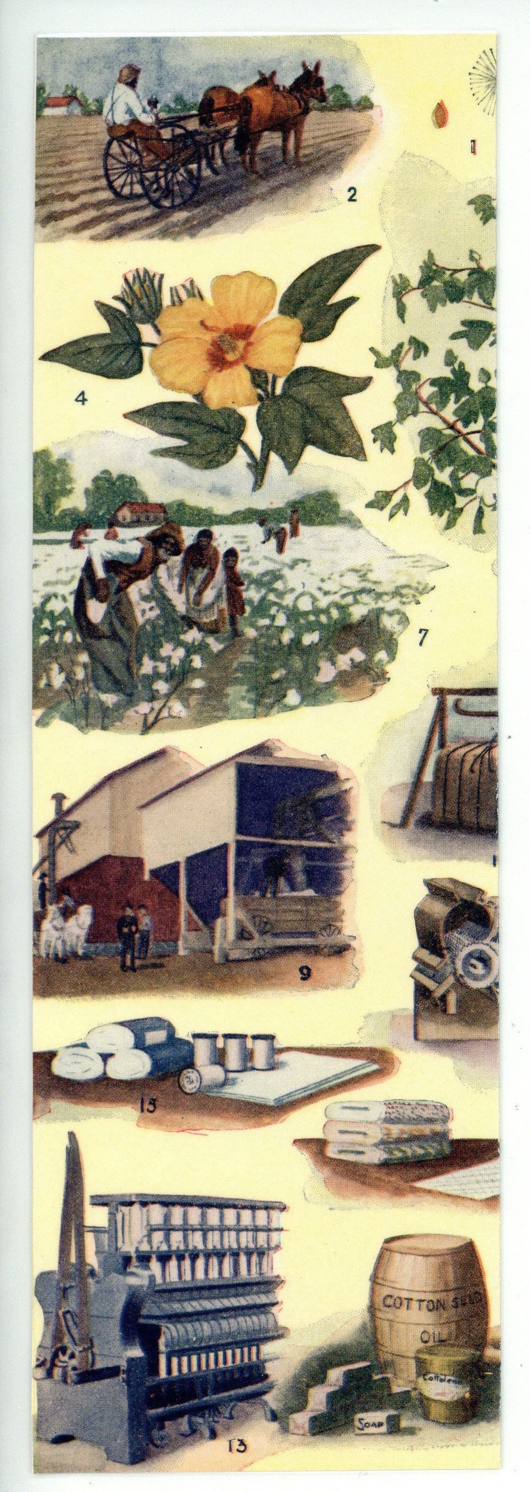 Cotton Production Antique Illustration Bookmark - Laminated - Etsy