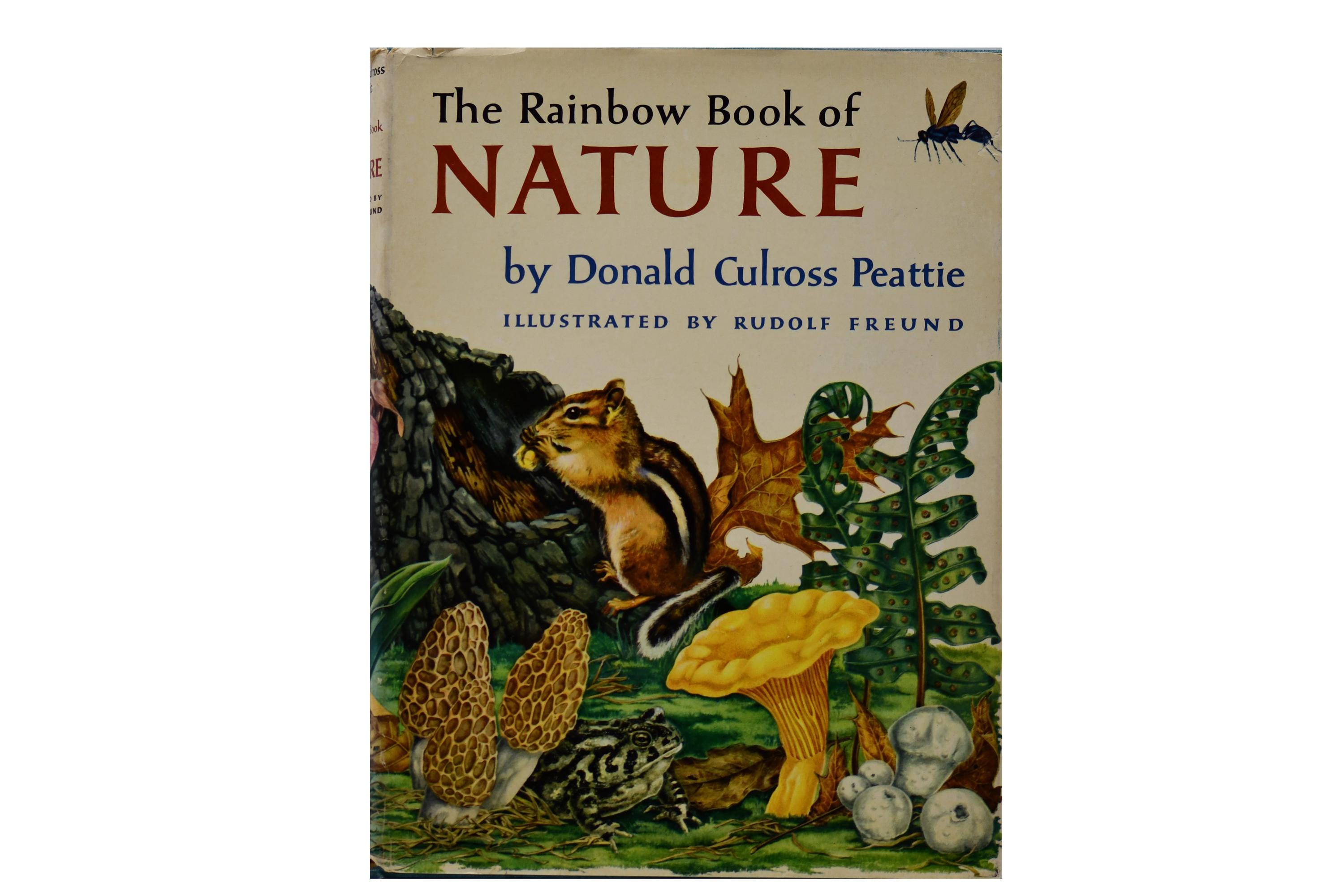 The Rainbow Book of Nature by Donald Culross Peattie, Illustrator Rudolf Freund, 1957 First Edition Review Copy Vintage Book