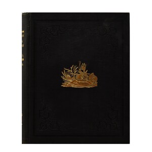 Historia naturalna Nowego Jorku Tom VIII - Część I Paleontologia autorstwa Jamesa Halla, Ilustrowana, 1892, Książka antyczna