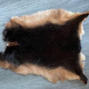 Regionally sourced rabbit furs, beautiful and soft with gorgeous natural colors. Hare rabbit, black-tan rabbit, etc.