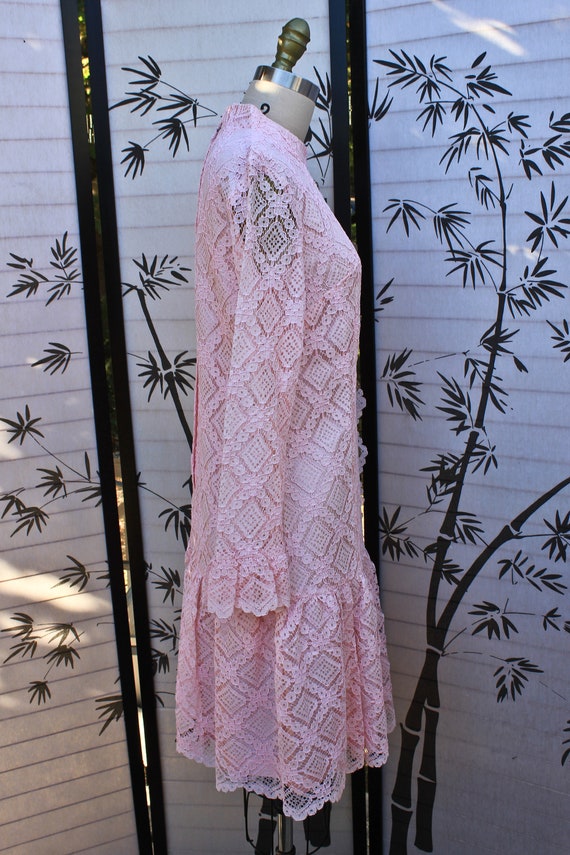 Pink Lace and Lucite and Rhinestone Drop Waist Lo… - image 4