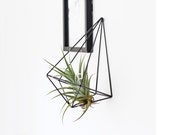 VENTI - Modern Hanging Mobile - Geometric Sculpture - Himmeli - Air Plant Holder