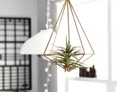 Brass Himmeli Prism no. 2 / Hanging Modern Mobile / Geometric Sculpture / Air Plant Hanging Planter / Minimalist Home Decor