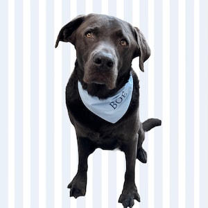 Dog bandana embroidered with name | XXS-5XL