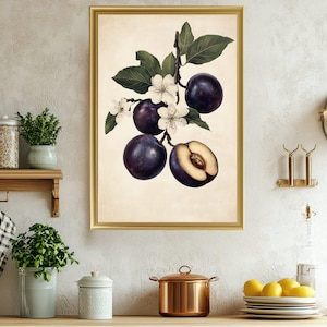 Vintage Plum Fruit Botanical Print, Kitchen Wall Art, Floral Art Print, Cottagecore Decor, Farmhouse Wall Art, Dining Room Decor