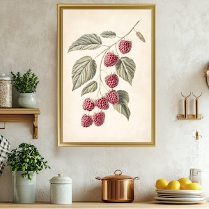 Vintage Botanical Raspberry Print, Kitchen Wall Art Decor, Rustic Berry Fruit Illustration, Natural History Artwork, Farmhouse Decor