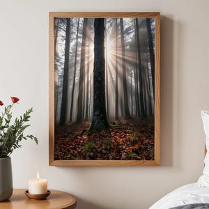 Stampa artistica da parete con alba nella foresta mistica, poster di fotografia naturalistica, decorazione eterea del bosco, raggi di sole attraverso gli alberi, scena serena della foresta