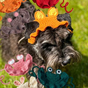 May include: A collection of crocheted pet hats featuring various animal designs including a fox, a devil, a frog, and a bear. Each hat has a ruffled edge and long crocheted ties for securing. The hats are rendered in orange, red, dark grey, pink, cream, and dark green yarn.